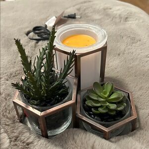 Scentsy Wild Desert Warmer